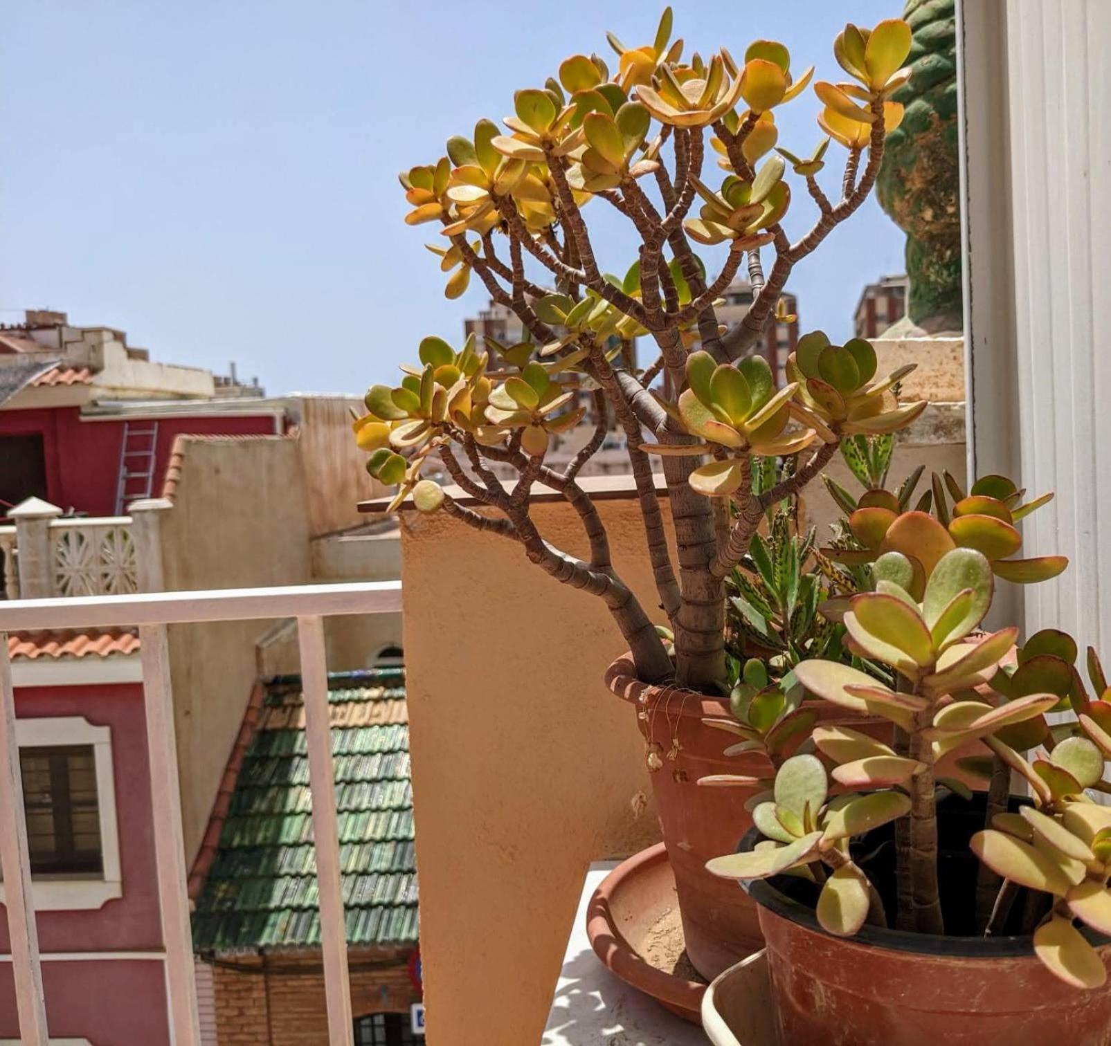 Casa Leon En El Centro De